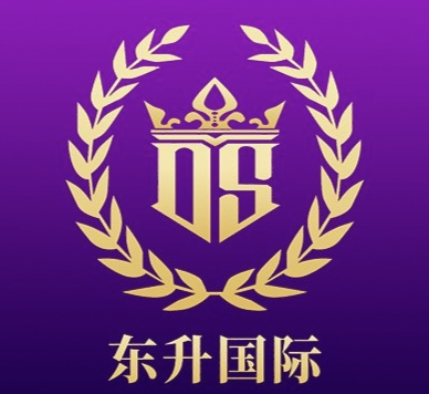 东升国际